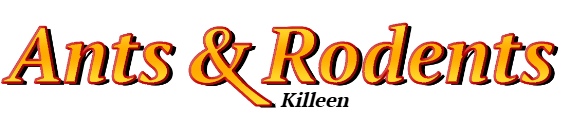 Killeen Ant Exterminator & Rodent Control Company Logo